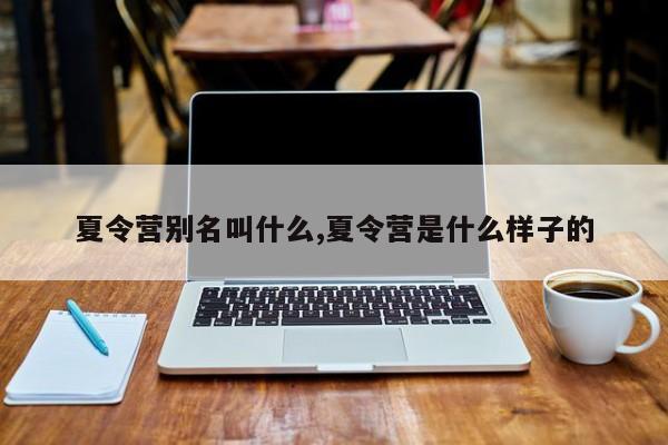 夏令营别名叫什么,夏令营是什么样子的